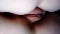 Swedish Svensk Cucumber Gurka